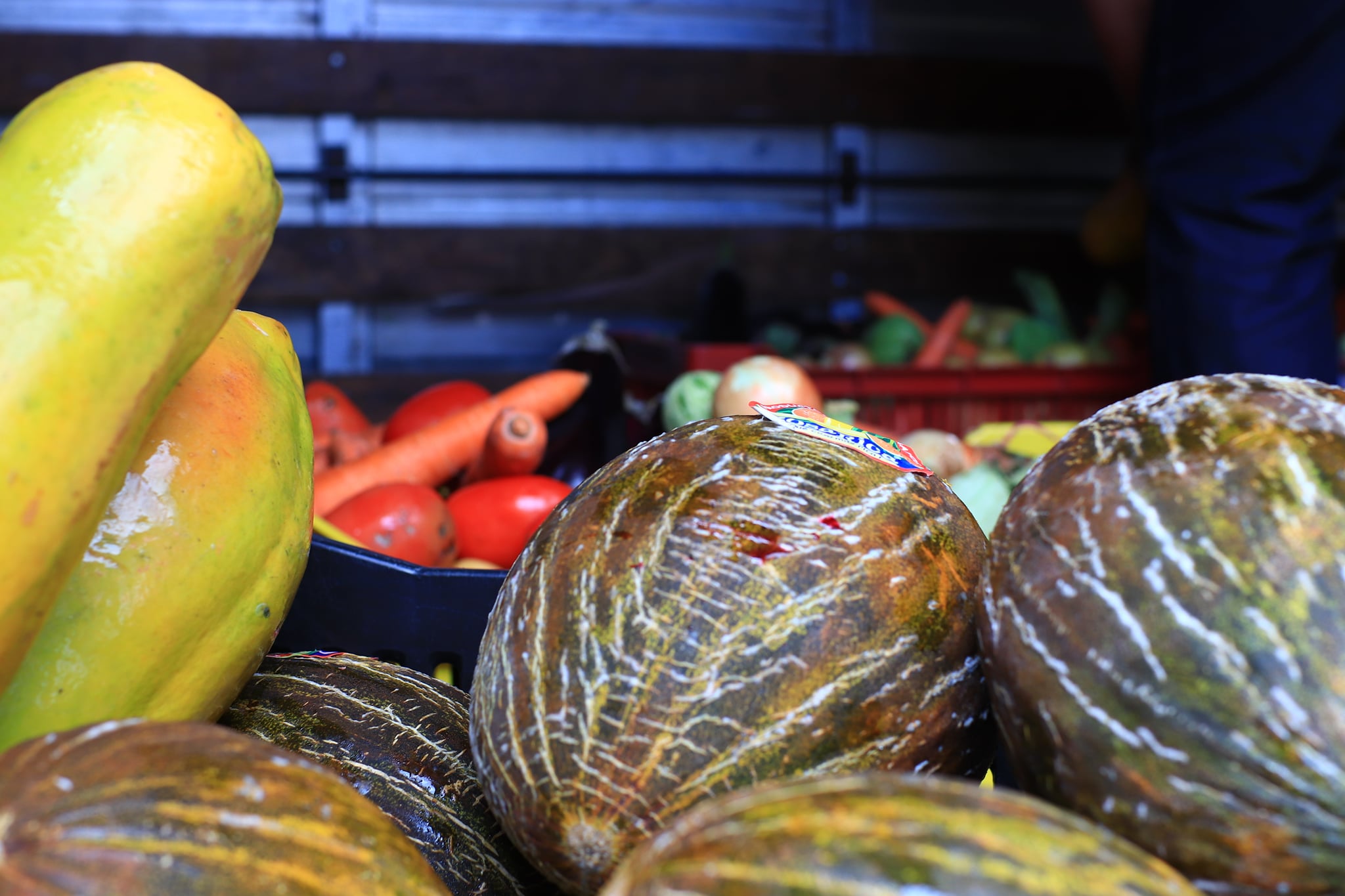 Programa Alcance distribui alimentos do Mesa Brasil
