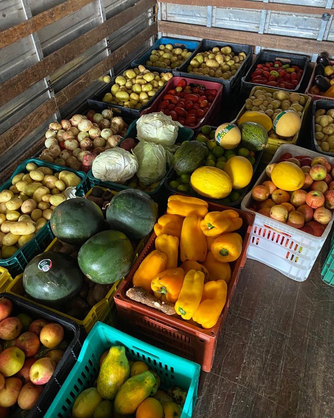 Mesa Brasil entrega frutas e verduras para famílias